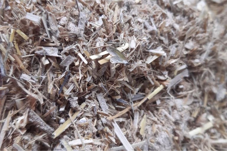 Spelt stro matras